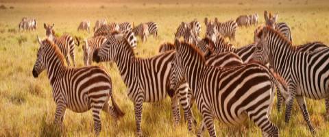 DESTINOS DE EXCEL�NCIAS